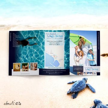 marpessa brochure dis